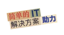 世服宏图中国(上海、北京)提供经验丰富的IT技术支援。