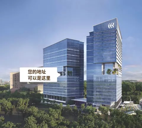 公司注册方案